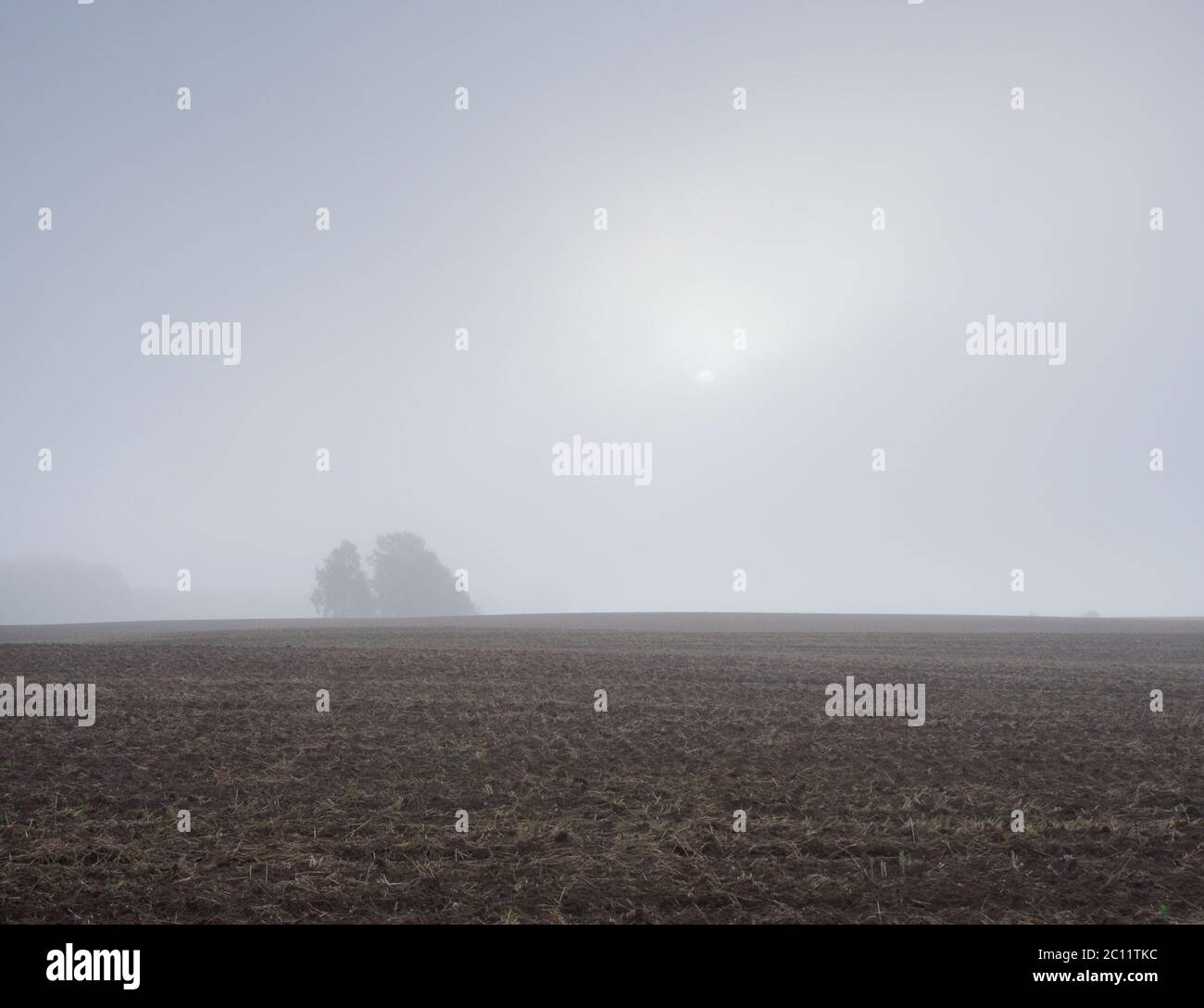 champ labouré avec traces de tracteur et forêt éloignée au lever du soleil Banque D'Images