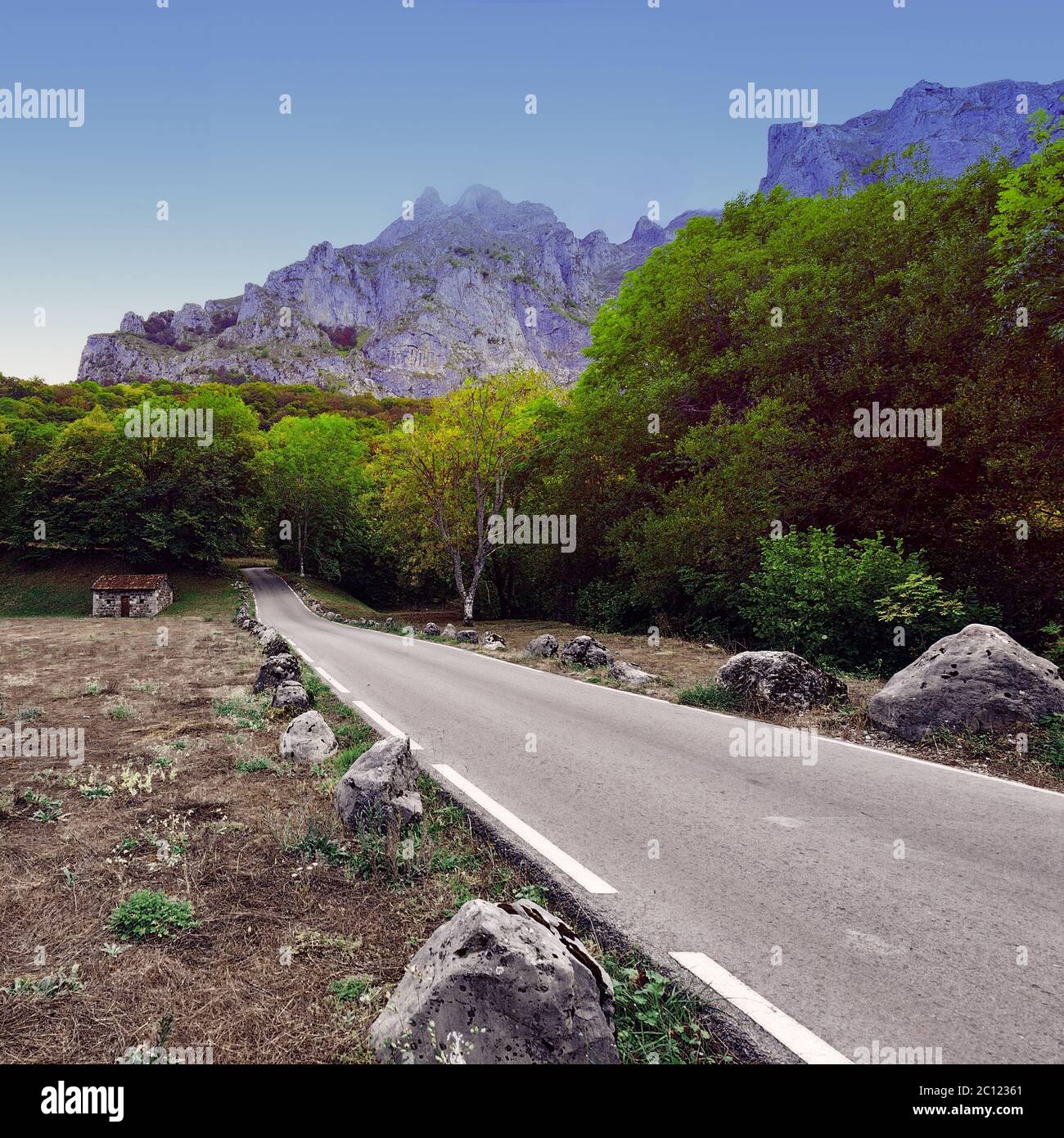 Route asphaltée Banque D'Images