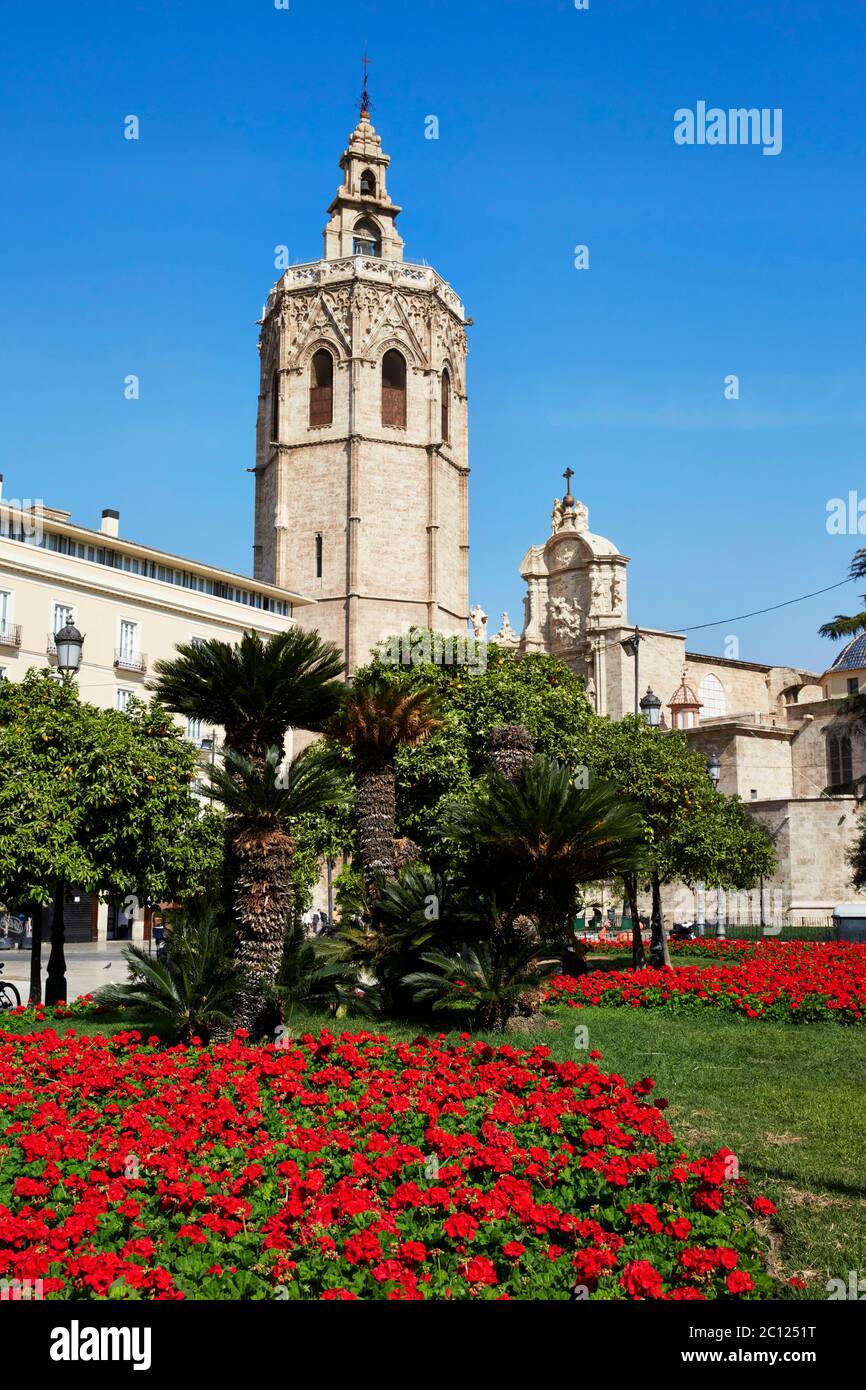 Cathédrale de Valence, Placa de la Reina, Valence, Espagne. Banque D'Images