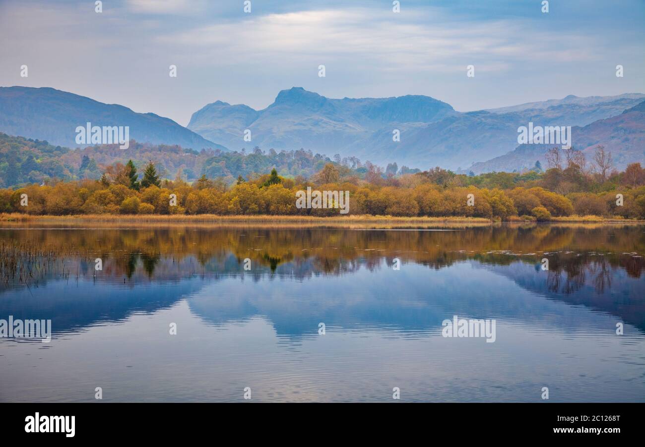 Les Langdale Pikes se reflètent dans Elter Water à l'automne, Lake District, en Angleterre Banque D'Images