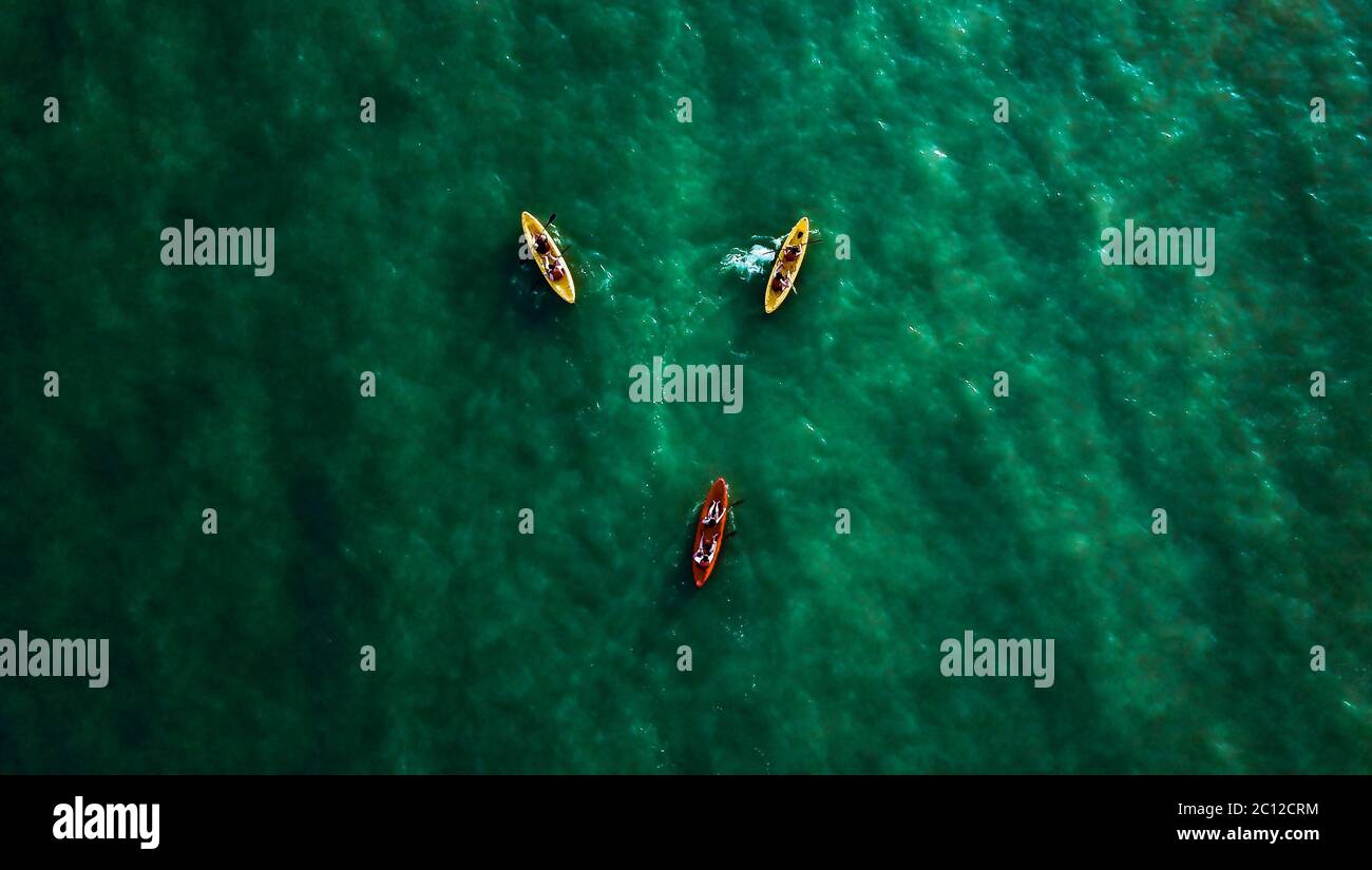 Vue aérienne de haut en bas sur trois kayaks avec deux personnes dans chacun d'eux pagayant sur les eaux vertes. Banque D'Images