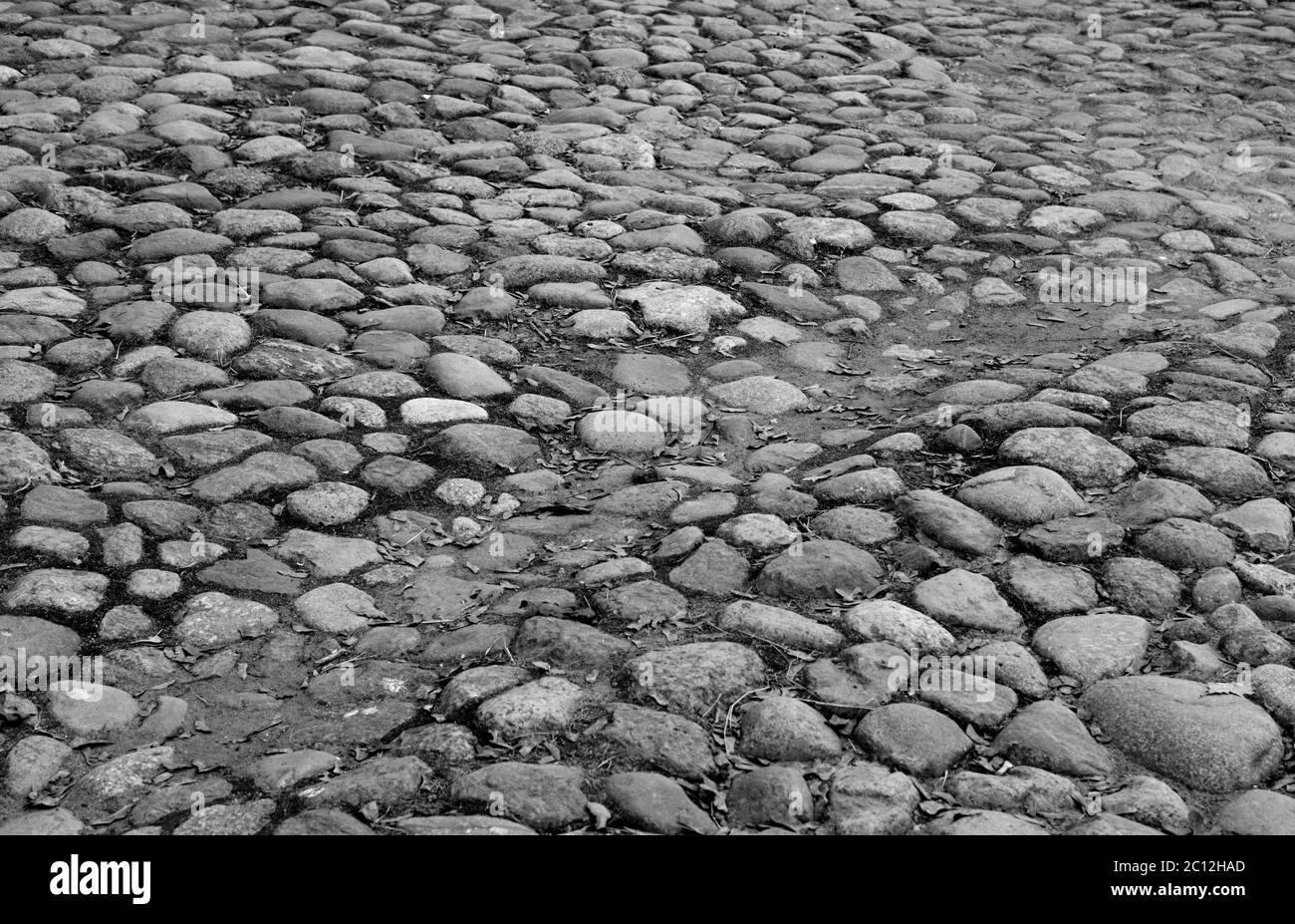 Pierre à pavage par temps ensoleillé. Banque D'Images