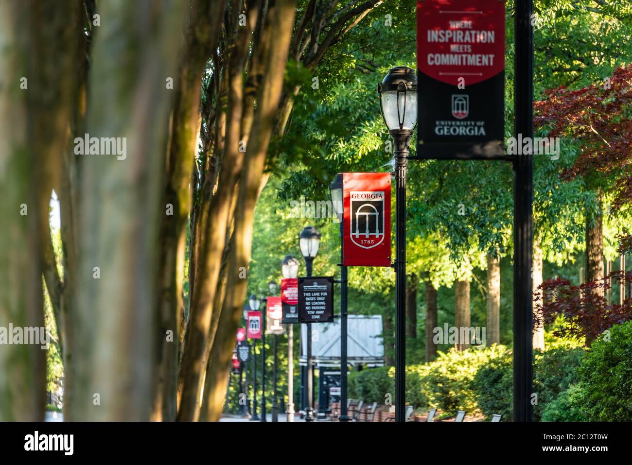Bannières de lampadaire sur le campus de l'Université de Géorgie à Athènes, Géorgie. (ÉTATS-UNIS) Banque D'Images