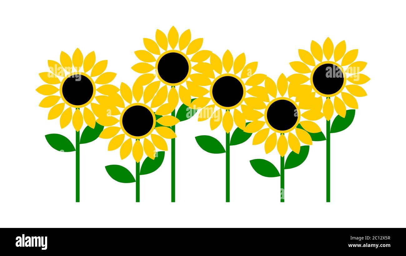 Groupe d'icônes de tournesol. Image vectorielle. Illustration de Vecteur