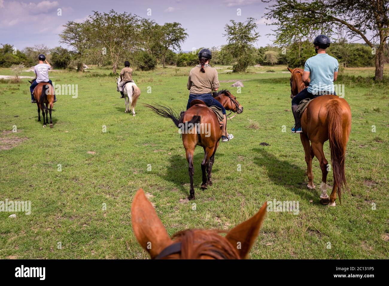 Quatre touristes vont faire un safari à cheval près de Mihingo Lodge dans le parc national du lac Mburo en Ouganda Banque D'Images