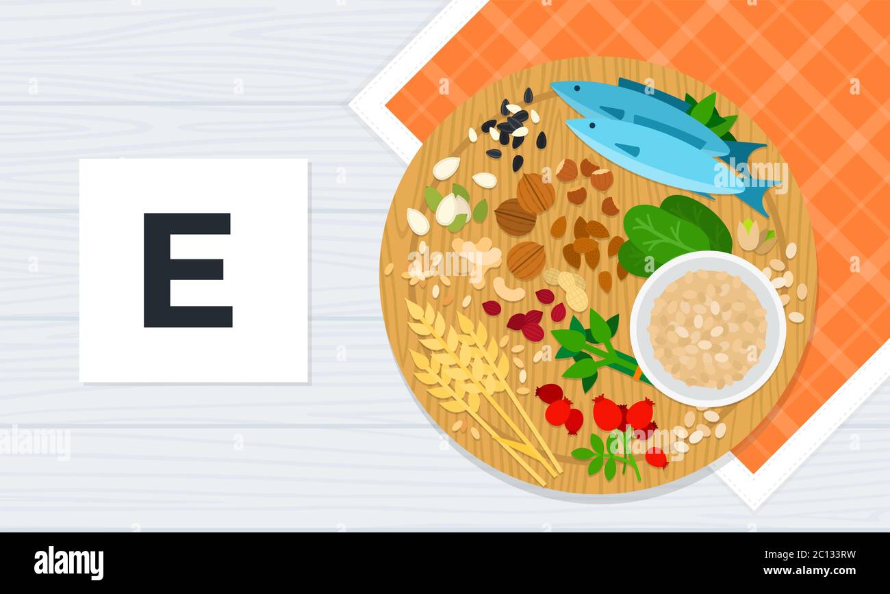 Illustrations plates vectorielles de la vitamine E. Produits ayant la teneur maximale en vitamine E. Illustration de Vecteur