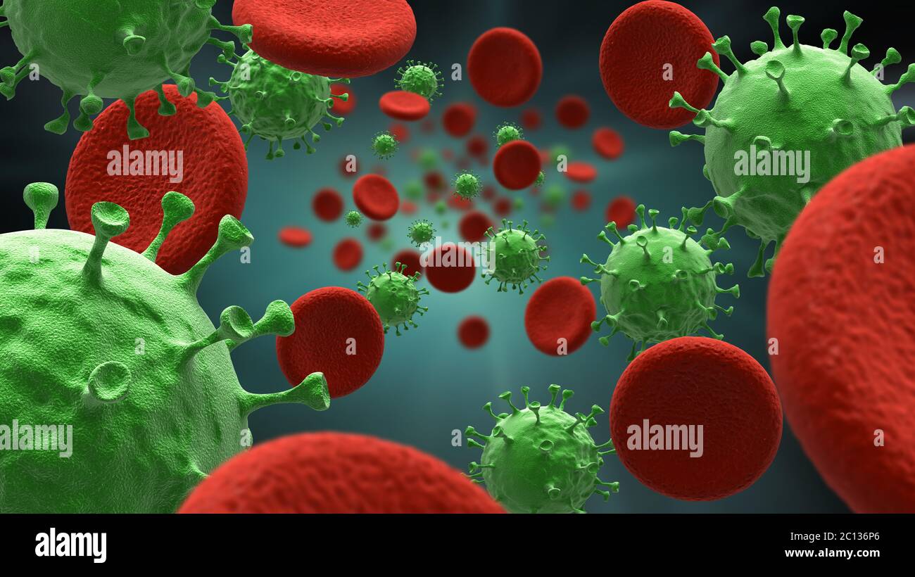 Les cellules sanguines et l'infection virale Banque D'Images