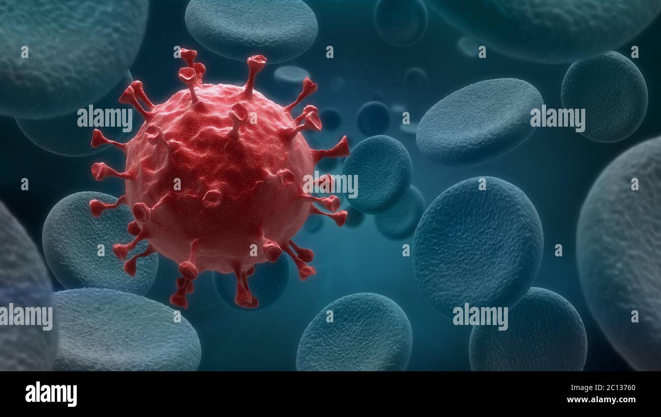 Les cellules sanguines et l'infection virale Banque D'Images
