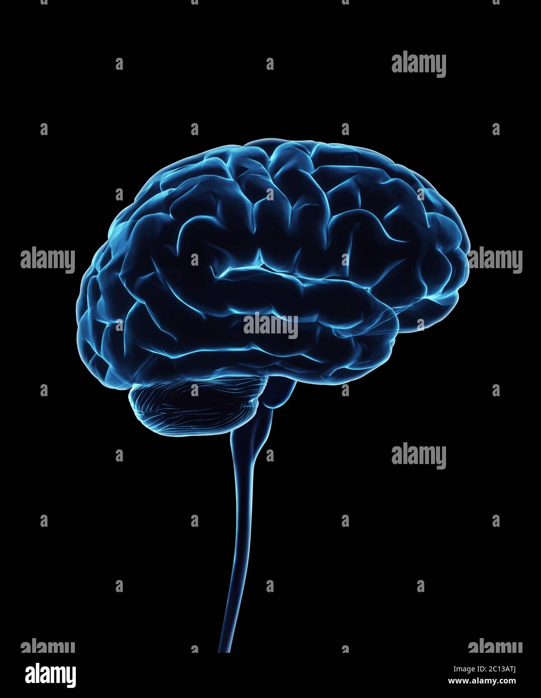 Système nerveux central. Cerveau et moelle épinière avec masque inclus. Illustration 3D conceptuelle du cerveau. Banque D'Images