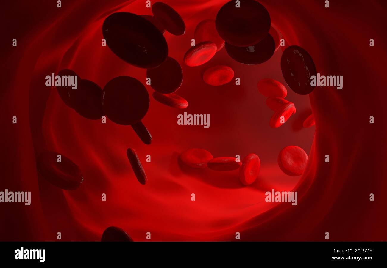 Globules rouges - concept médical Banque D'Images