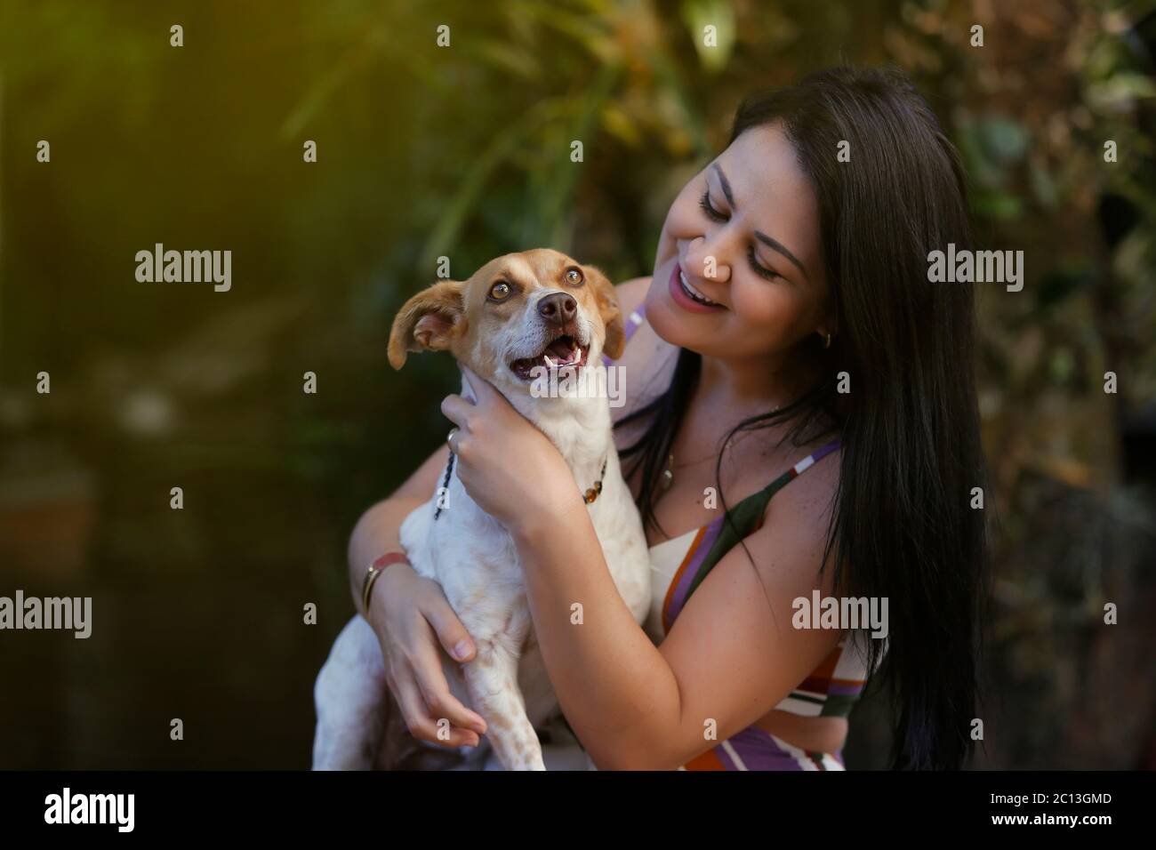 Femme blanche brune adulte jouant avec son chien animal de compagnie Banque D'Images