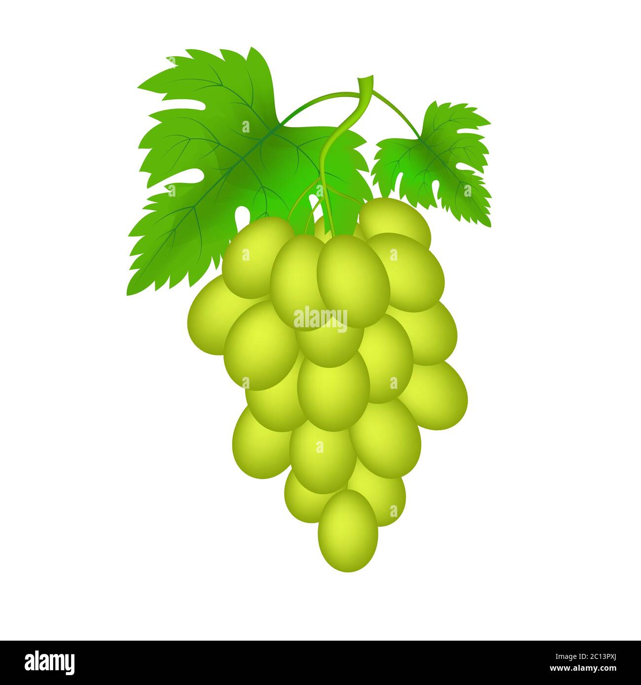 Vecteur Illustration de raisins verts réalistes avec feuilles isolées sur fond blanc. Image réaliste et détaillée des raisins. Illustration de Vecteur