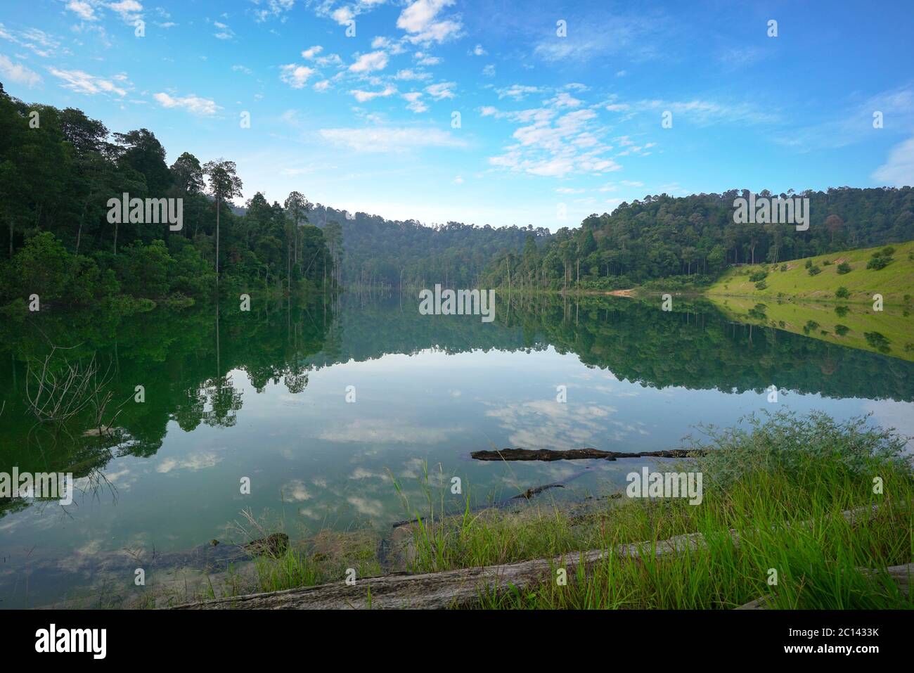 Beau paysage de lac avec forêt et son reflet à l'arrière-plan. Banque D'Images