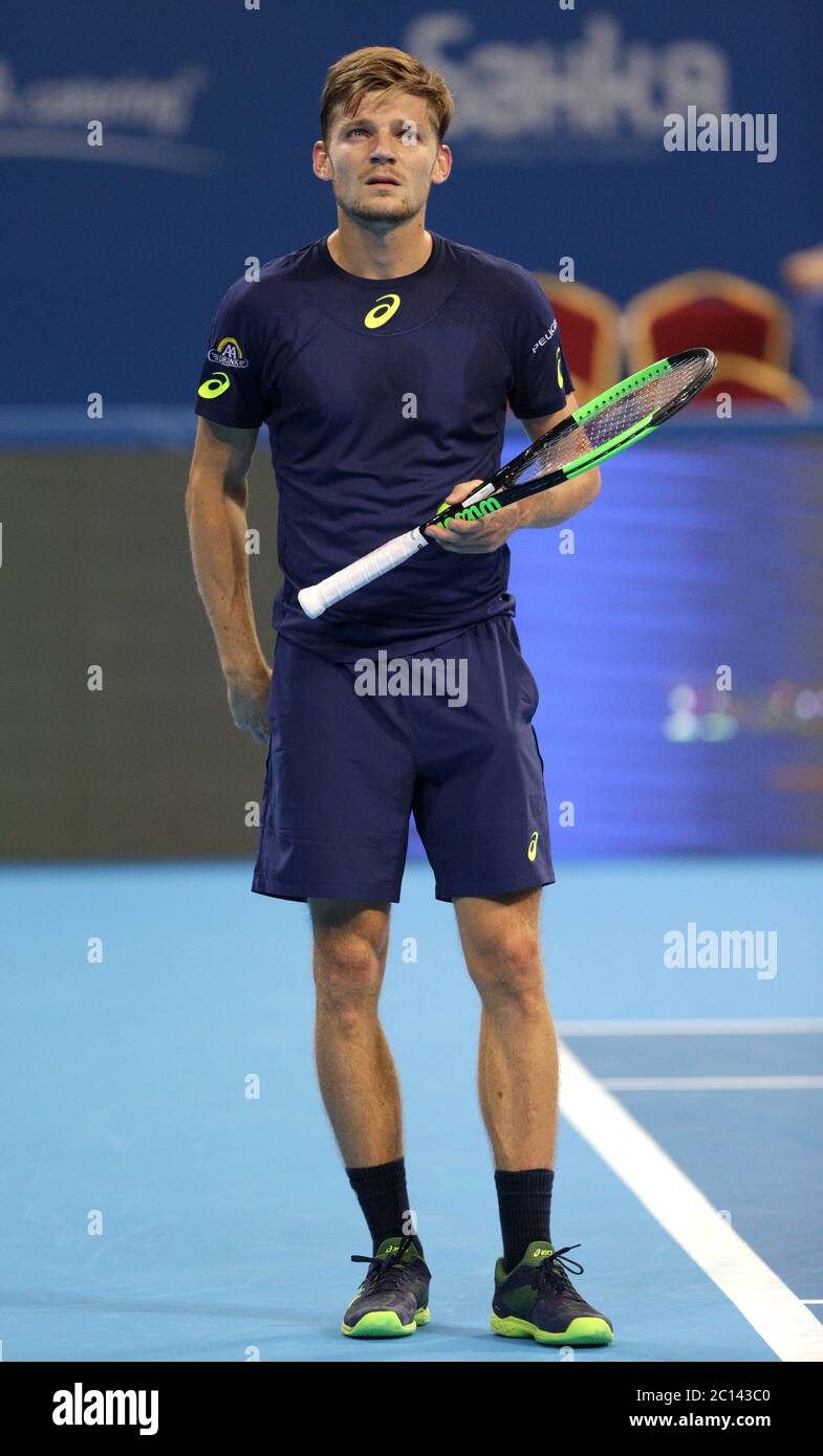 Joueur de tennis David Goffin Photo Stock - Alamy