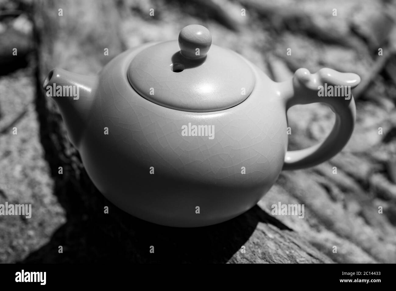 Culture du thé, gros plan extérieur de la théière en noir et blanc. Avec des lignes réseau en arrière-plan. Banque D'Images