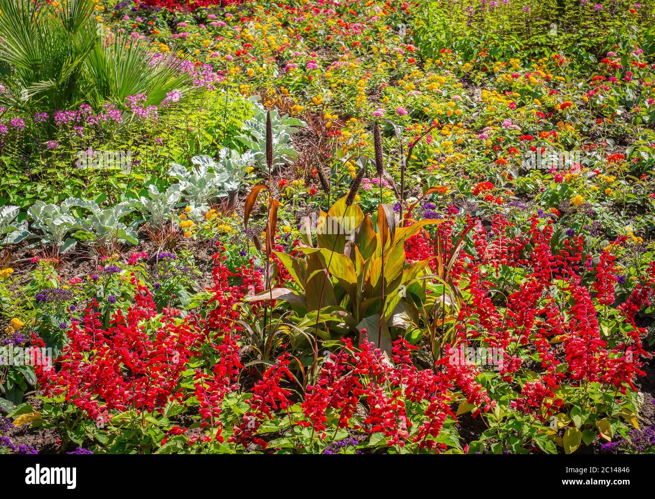 Jardin fleuri fleuri avec variété de fleurs de printemps et de prats dans le Tyrol du Sud, Trentin-Haut-Adige, le nord de l'Italie Banque D'Images