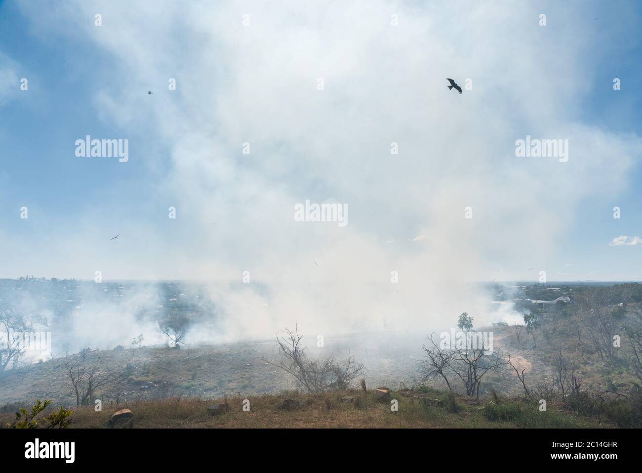 Oiseaux volant dans un ciel fumé pendant la combustion près de la ville de campagne, Queensland, Australie Banque D'Images