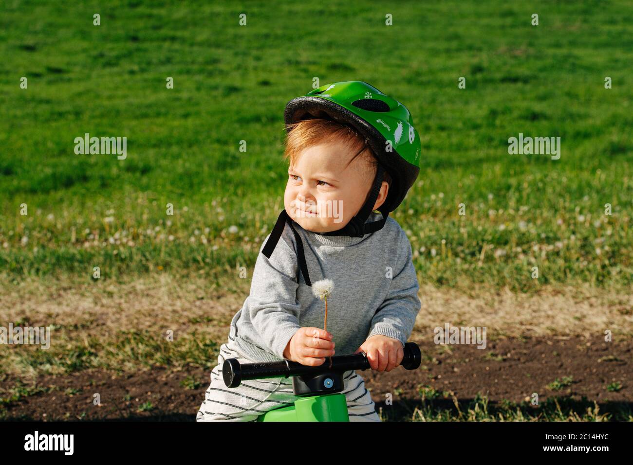 Un petit enfant grincheux sur un vélo à trois roues. Il tient une pissenlit. Banque D'Images