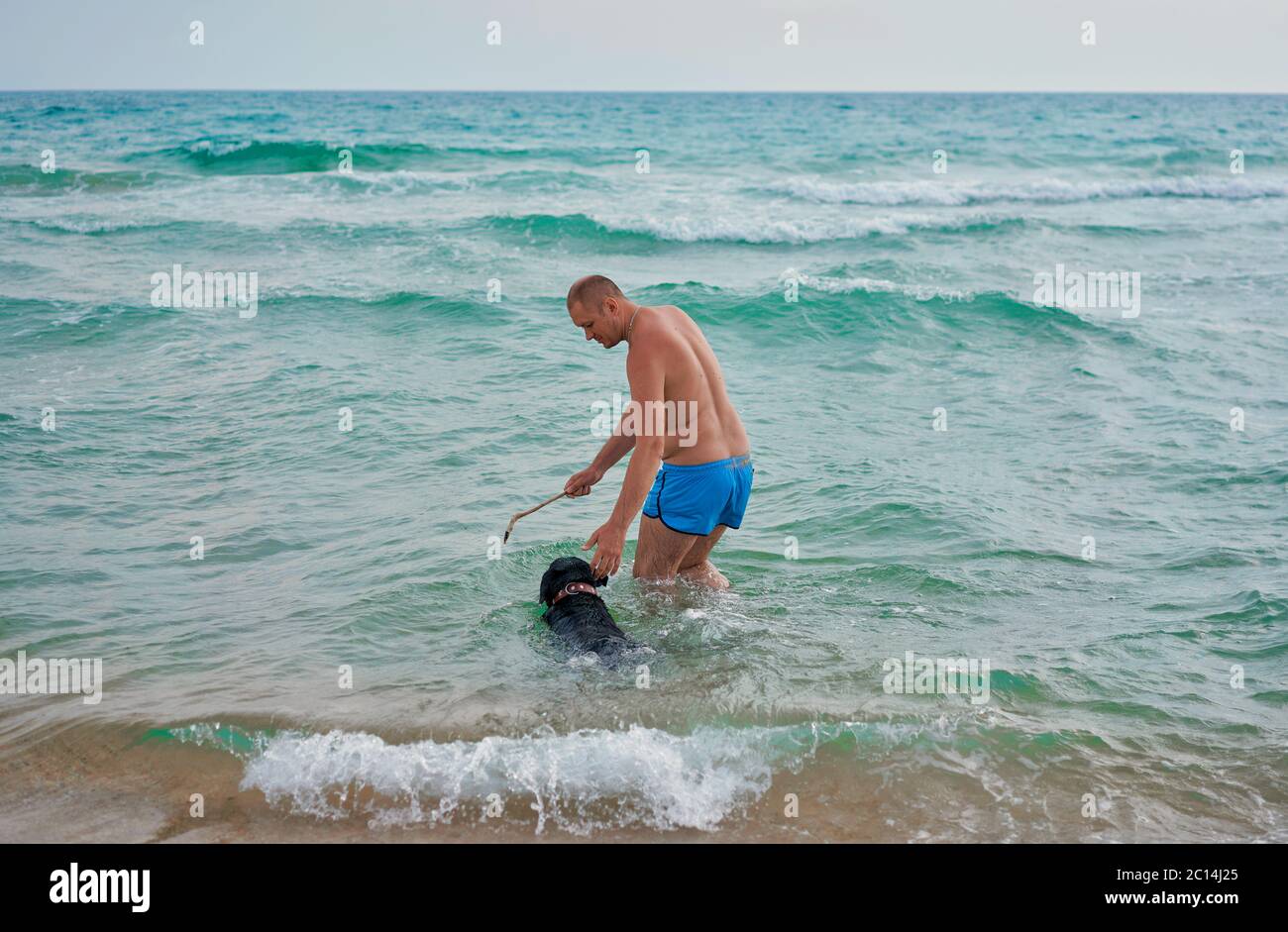 un homme avec un chien nageant dans la mer Banque D'Images