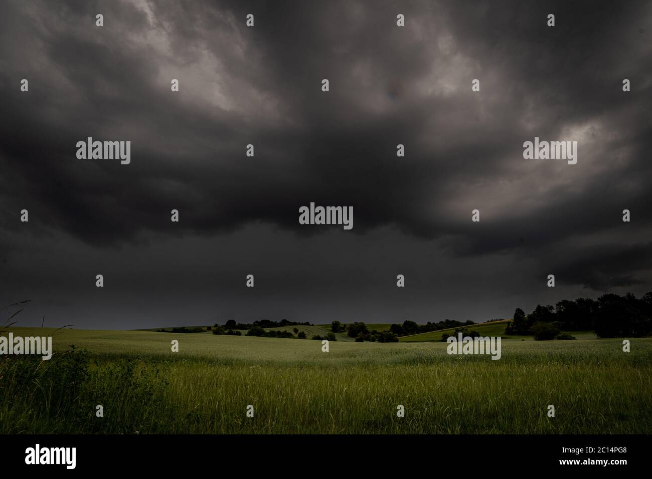 Orage nuages noirs sur champ de maïs vert Banque D'Images