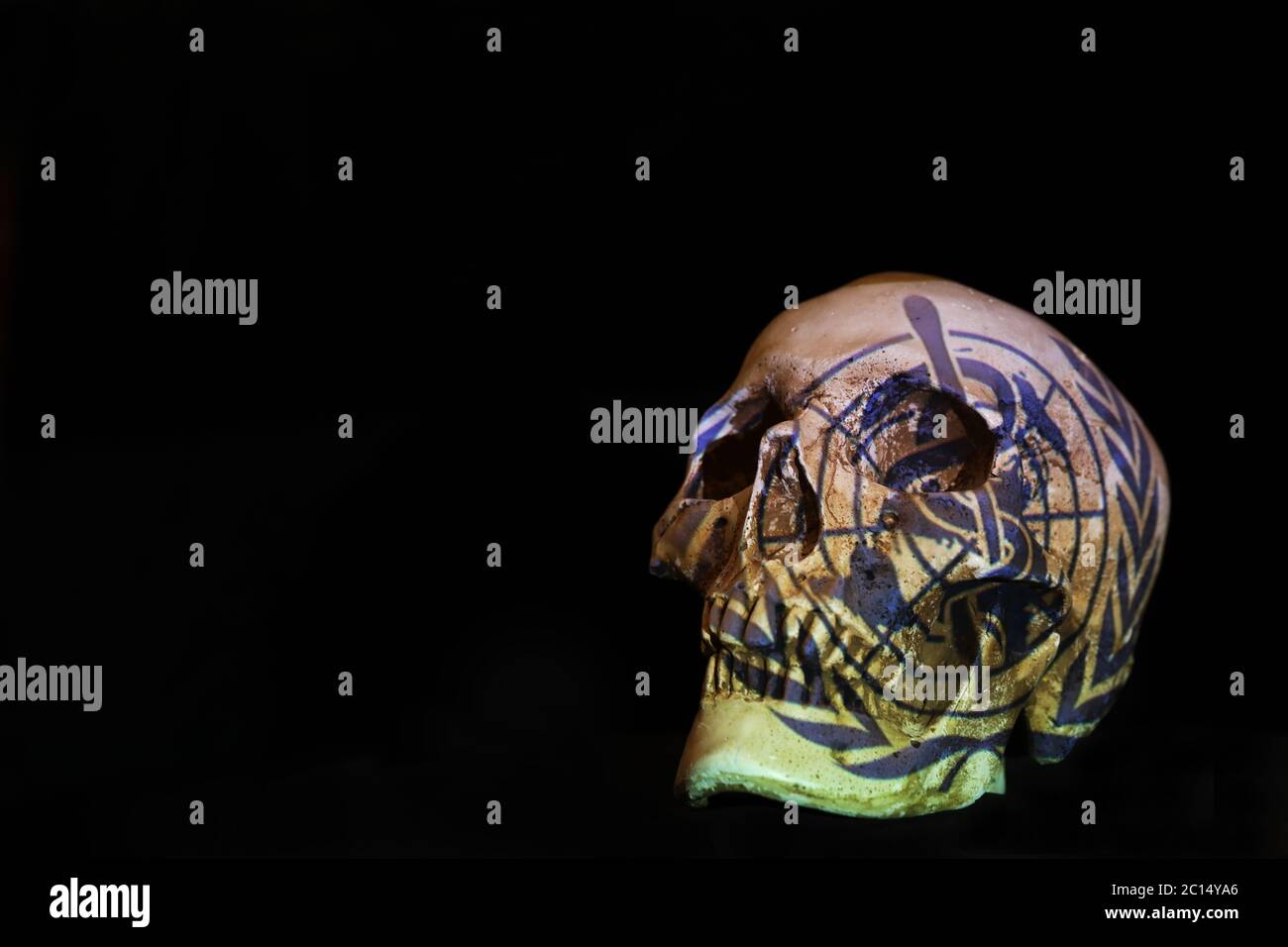 Un crâne isolé et un fond noir Uni avec le logo de l'Organisation mondiale de la Santé QUI a projeté dessus. Virus Corona covid-19 concept Banque D'Images