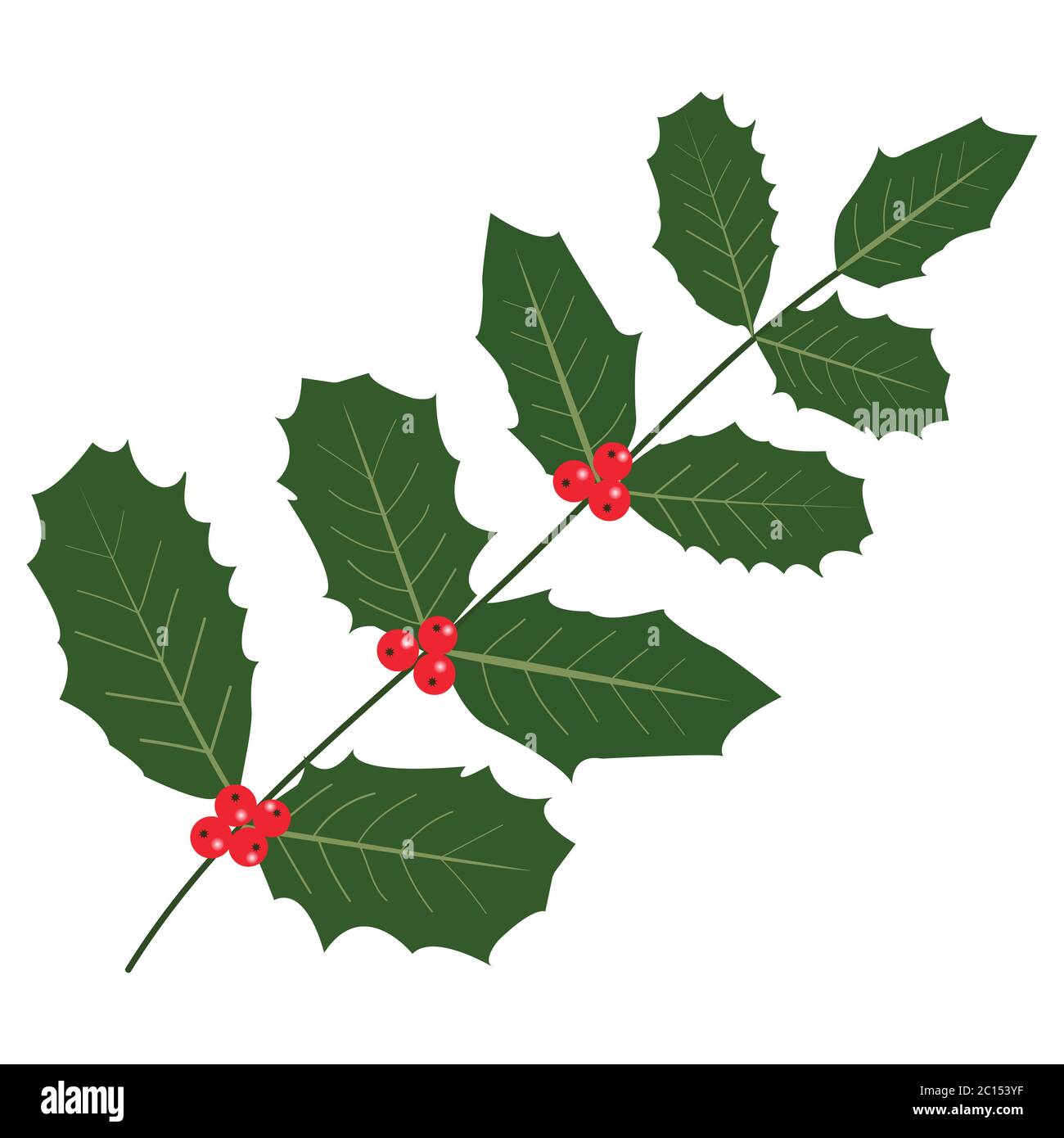 Holly branche avec fruits rouges Illustration de Vecteur
