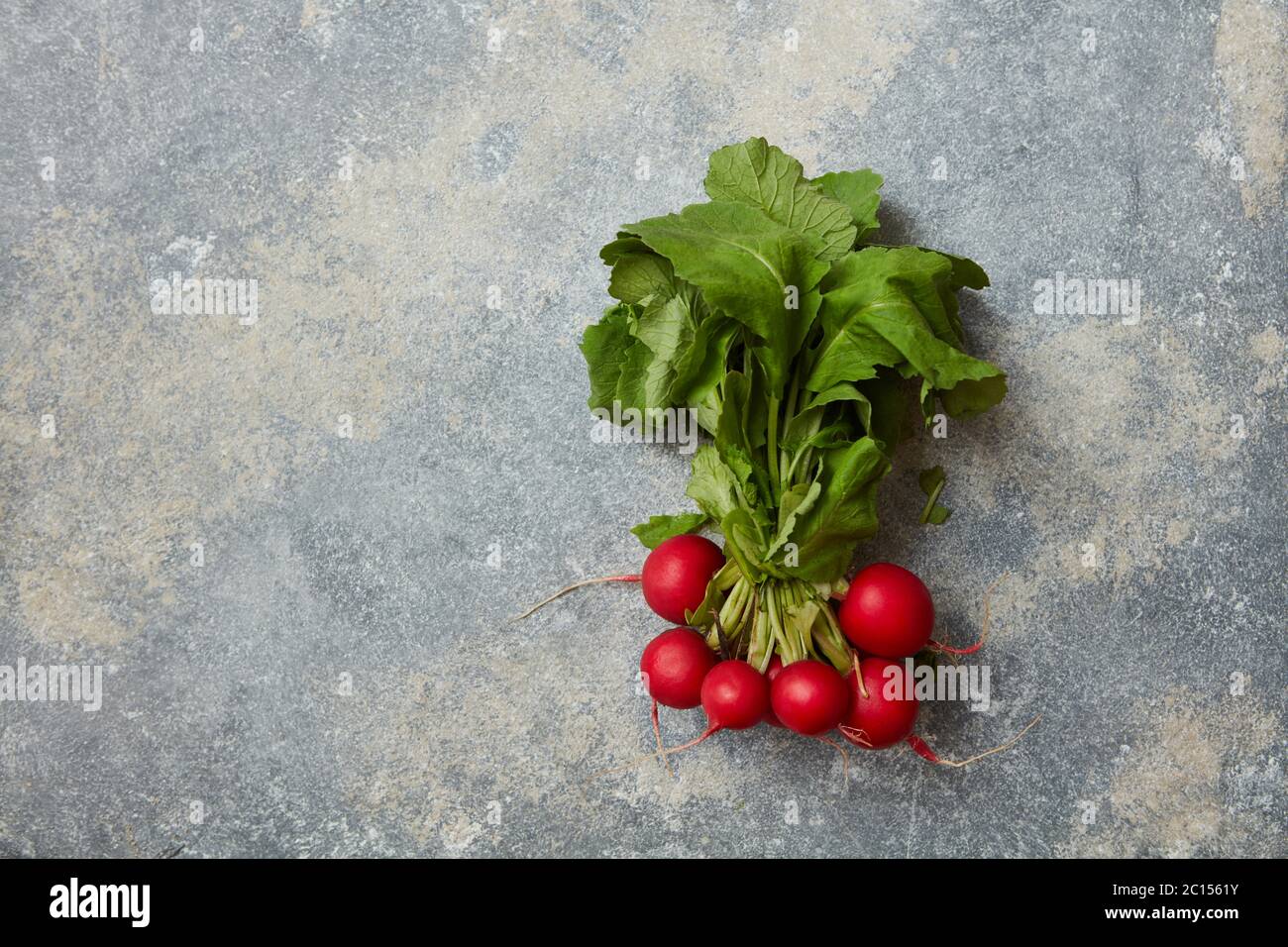Feuille De Radis Pour Lapin Nain www.alamyimages.fr