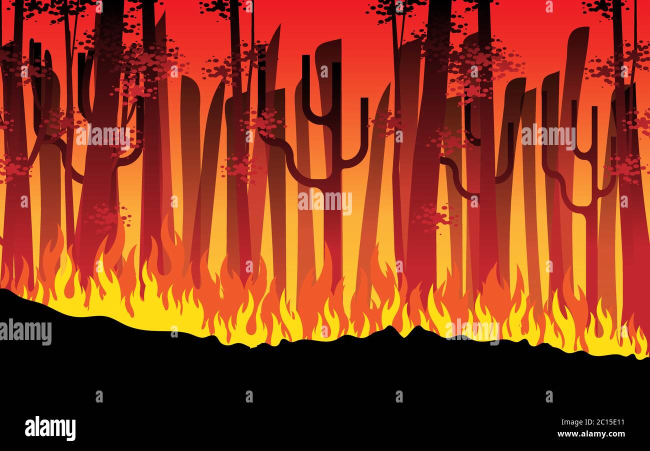 le feu brûle dans la forêt la nuit Illustration de Vecteur