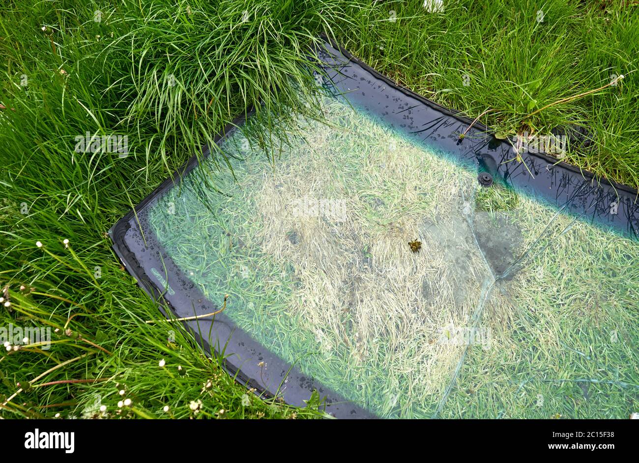 Vieille vitre de voiture sur l'herbe Banque D'Images