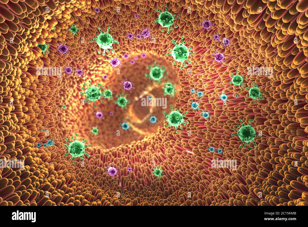 3d illustration de gros plan microscopique montrant les virus et des villosités de l'intestin en tube digestif Banque D'Images