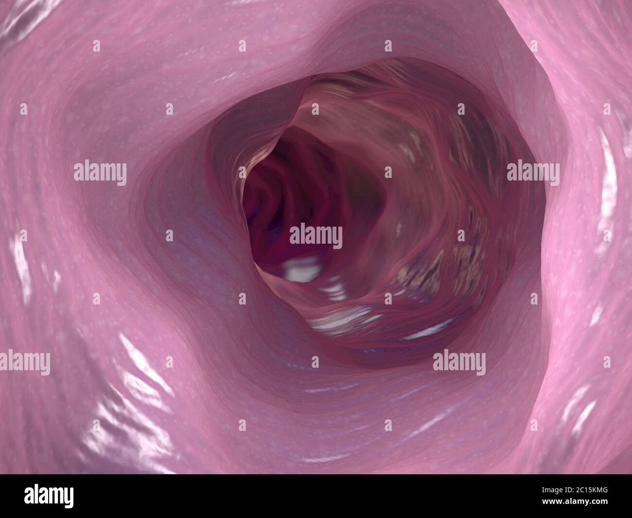 Illustration 3d de la face interne du côlon ou intestinal Banque D'Images