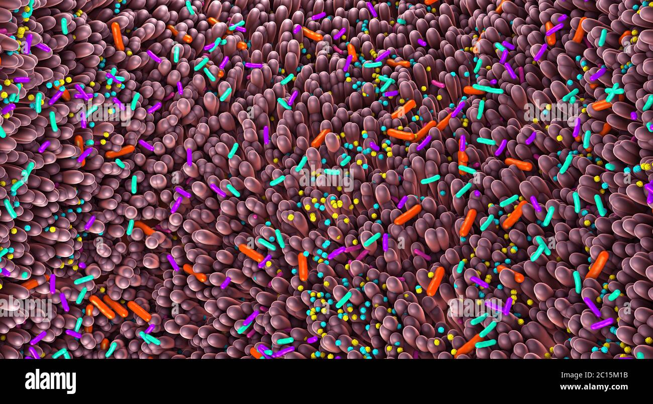 Différents germes dans les intestins humains appelés microbiome - illustration 3d Banque D'Images