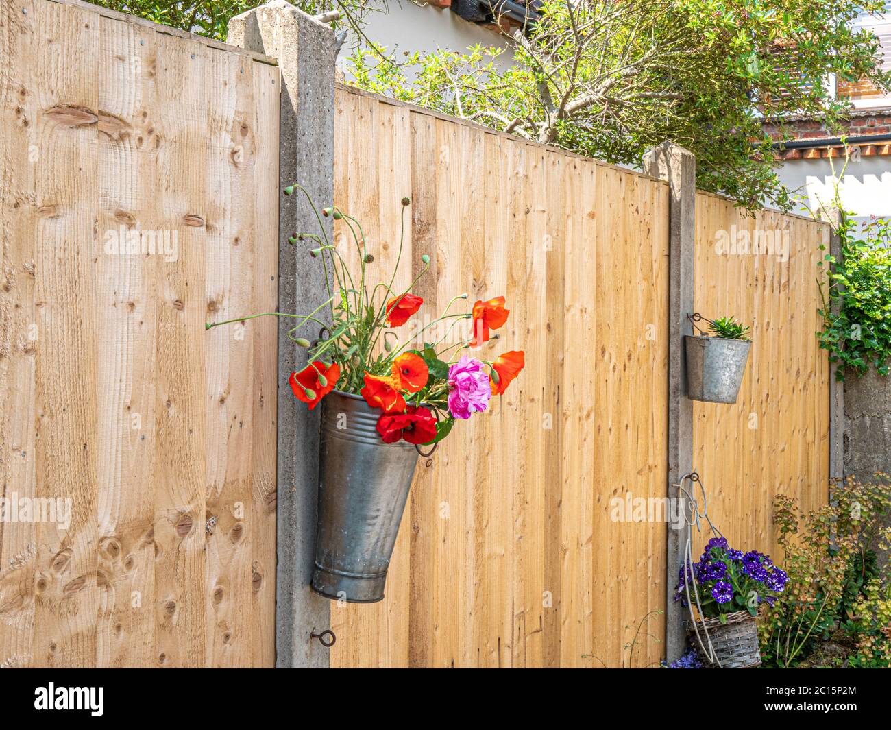 Une clôture solide entre les propriétés voisines, avec des panneaux de bois fendus entre les poteaux en béton et les contenants de fleurs fixés. Angleterre, Royaume-Uni. Banque D'Images