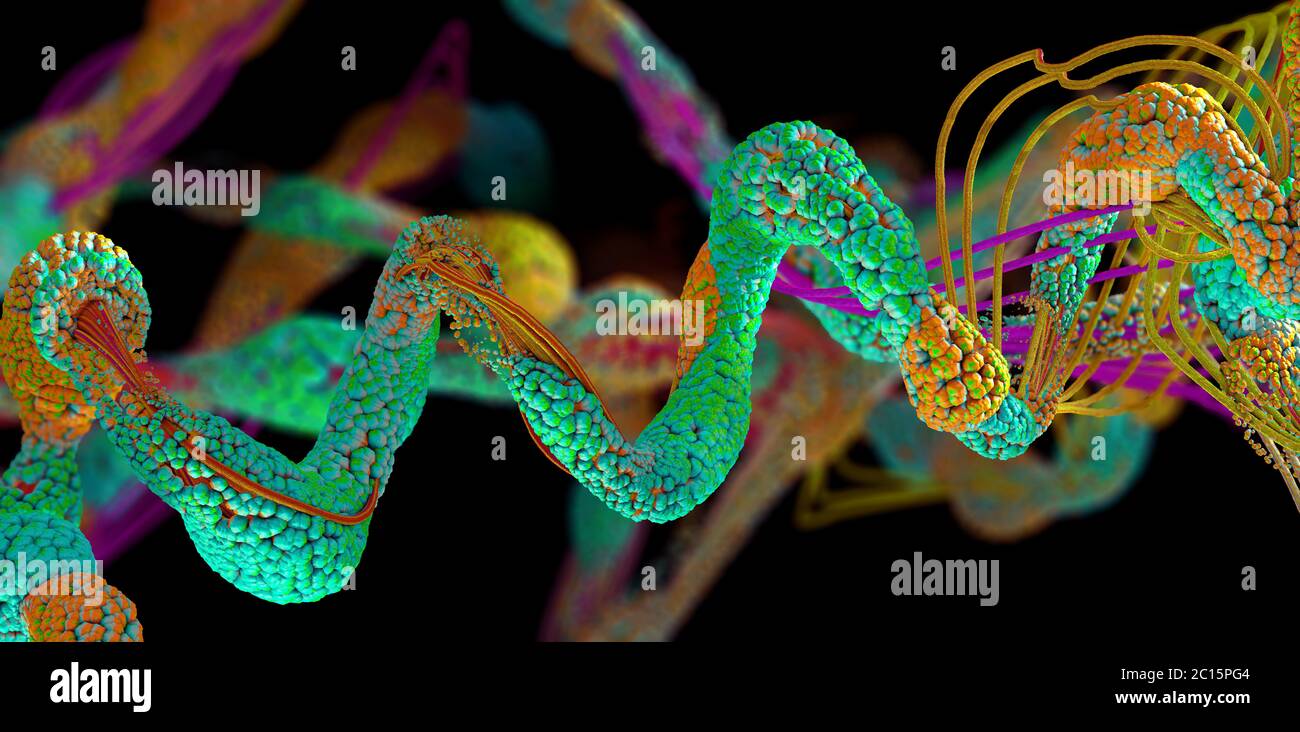 Chaîne d'acides aminés ou de molécules bio appelées protéines - illustration 3d Banque D'Images