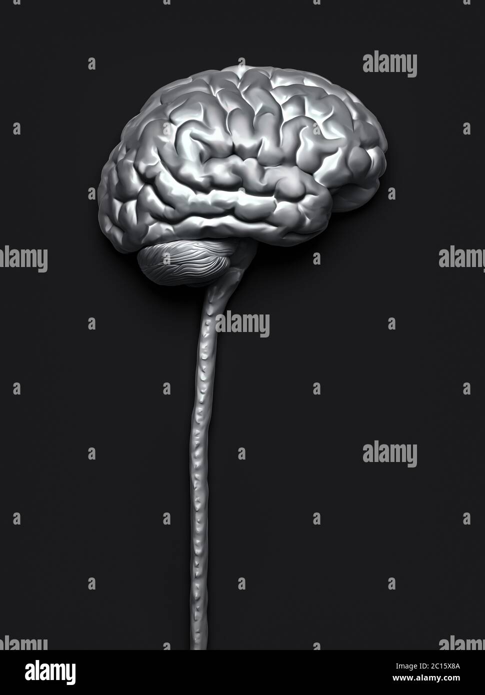 Système nerveux central. Cerveau et moelle épinière avec masque inclus. Illustration 3D conceptuelle du cerveau. Banque D'Images