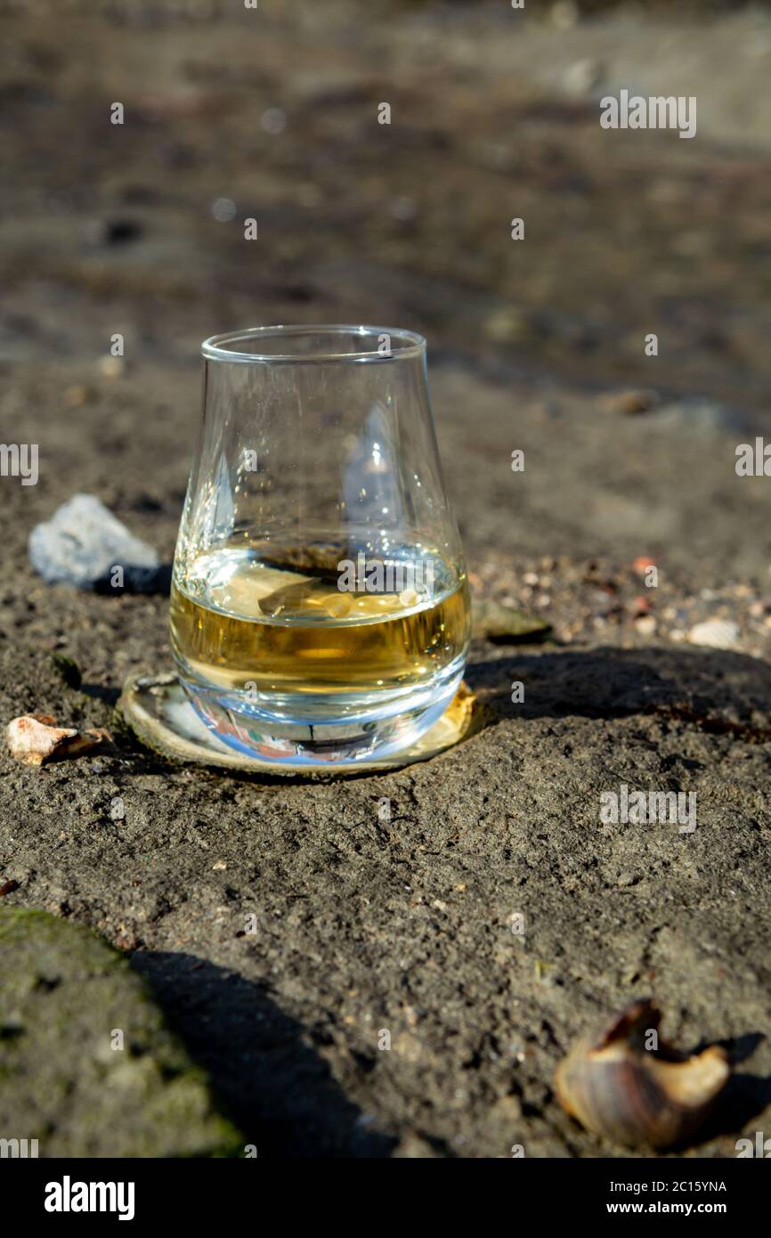 Dégustation de whisky écossais et de fond de la mer pendant la marée basse, whisky fumé associé aux huîtres Banque D'Images