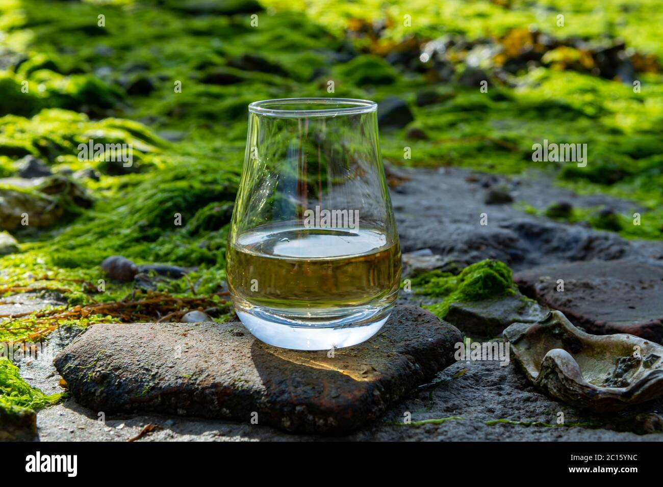 Dégustation de whisky écossais et de fond de la mer pendant la marée basse, whisky fumé associé aux huîtres Banque D'Images