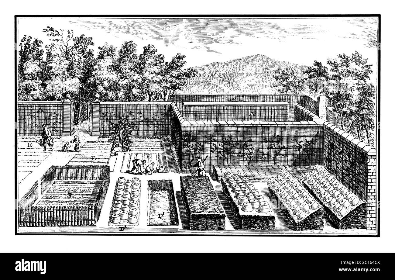 illustration d'un jardin du xviiie siècle. Publié dans 'A Diderot Pictorial Encyclopedia of Trades and Industry. Fabrication et les arts techniques dans Banque D'Images