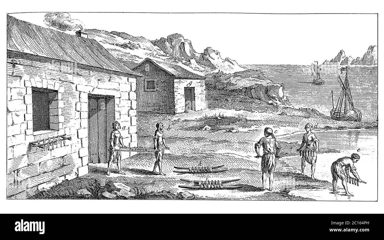 Illustration du XVIIIe siècle de la façon dont les paysans lavent le poisson sur la côte bretonne. Publié dans 'A Diderot Pictorial Encyclopedia of Trades and Industry. M Banque D'Images