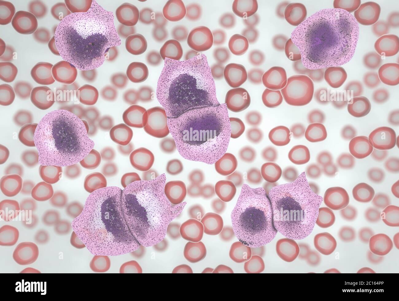 3d illustration de la forte augmentation de la non-fonctionnelles des globules blancs appelés cellules leucémiques conduisant à la maladie du cancer du sang Banque D'Images