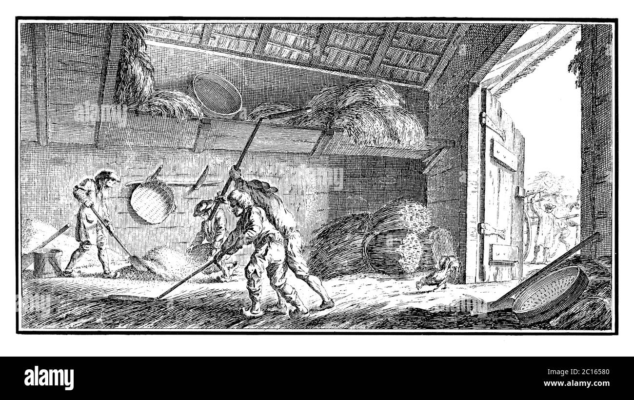 illustration du battage du blé au 18th° siècle. Publié dans 'A Diderot Pictorial Encyclopedia of Trades and Industry Banque D'Images