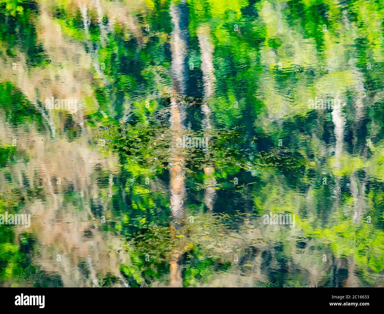 Lac avec cascade et ancienne scierie et moulin à eau abandonnée Cogrljevo jezero Croatie Europe réflexions presque artistiques de l'eau de la forêt de Green Spring Banque D'Images