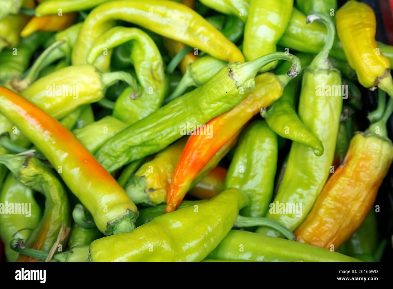 Fond de piment vert fort contraste Banque D'Images