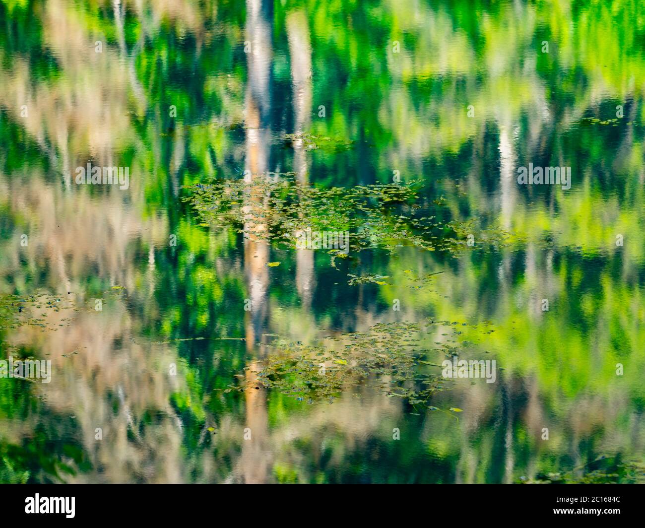 Lac avec cascade et ancienne scierie et moulin à eau abandonnée Cogrljevo jezero Croatie Europe réflexions presque artistiques de l'eau de la forêt de Green Spring Banque D'Images