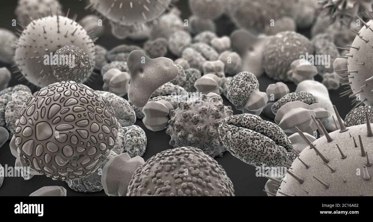 illustration 3d de nombreux corps de pollen différents en noir et blanc Banque D'Images