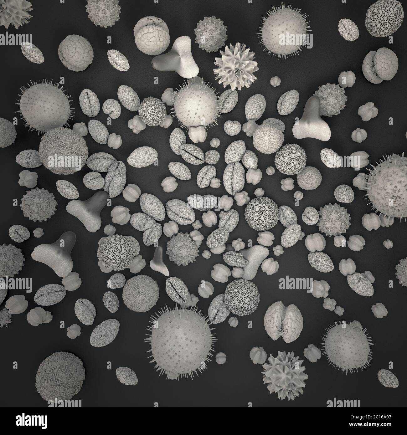 illustration 3d de nombreux corps de pollen différents en noir et blanc Banque D'Images