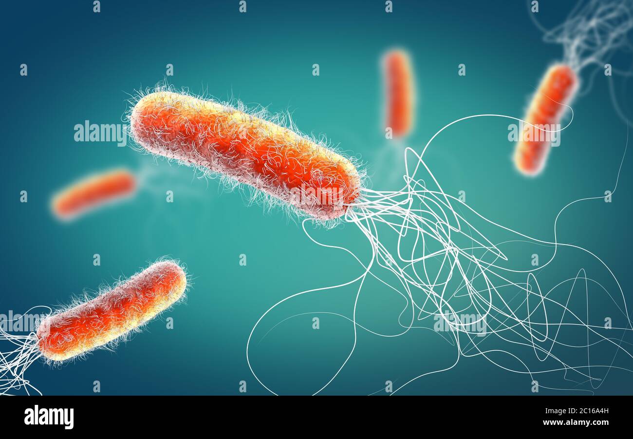 Bactérie Pseudomonas aeruginosa de couleur rouge résistante aux antibiotiques multiples - illustration 3d Banque D'Images