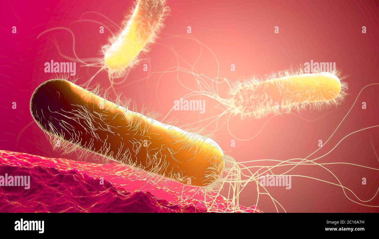 Bactérie Pseudomonas aeruginosa de couleur jaune résistante aux antibiotiques multiples - illustration 3d Banque D'Images