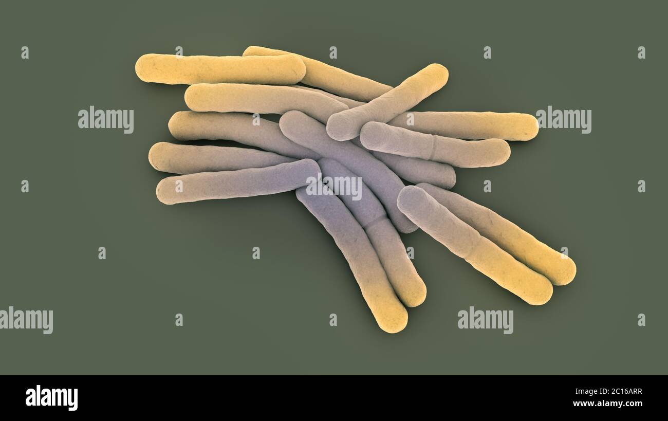 Accumulation de bactéries tuberculeuses - illustration 3d Banque D'Images