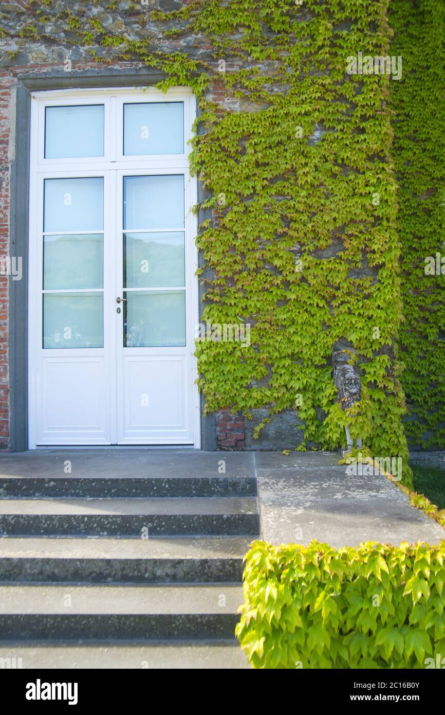 L'ivie du Canada Banque D'Images